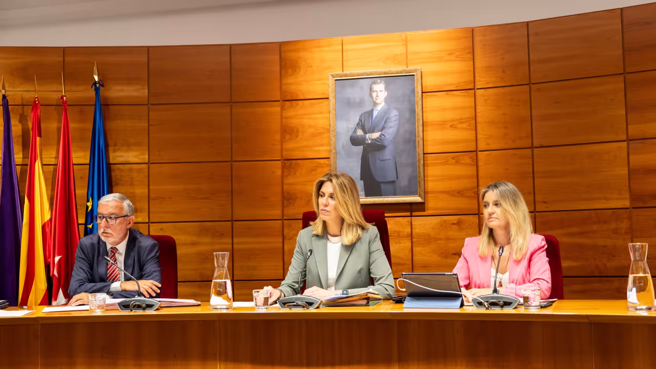 Sesión plenaria del mes de mayo de 2024