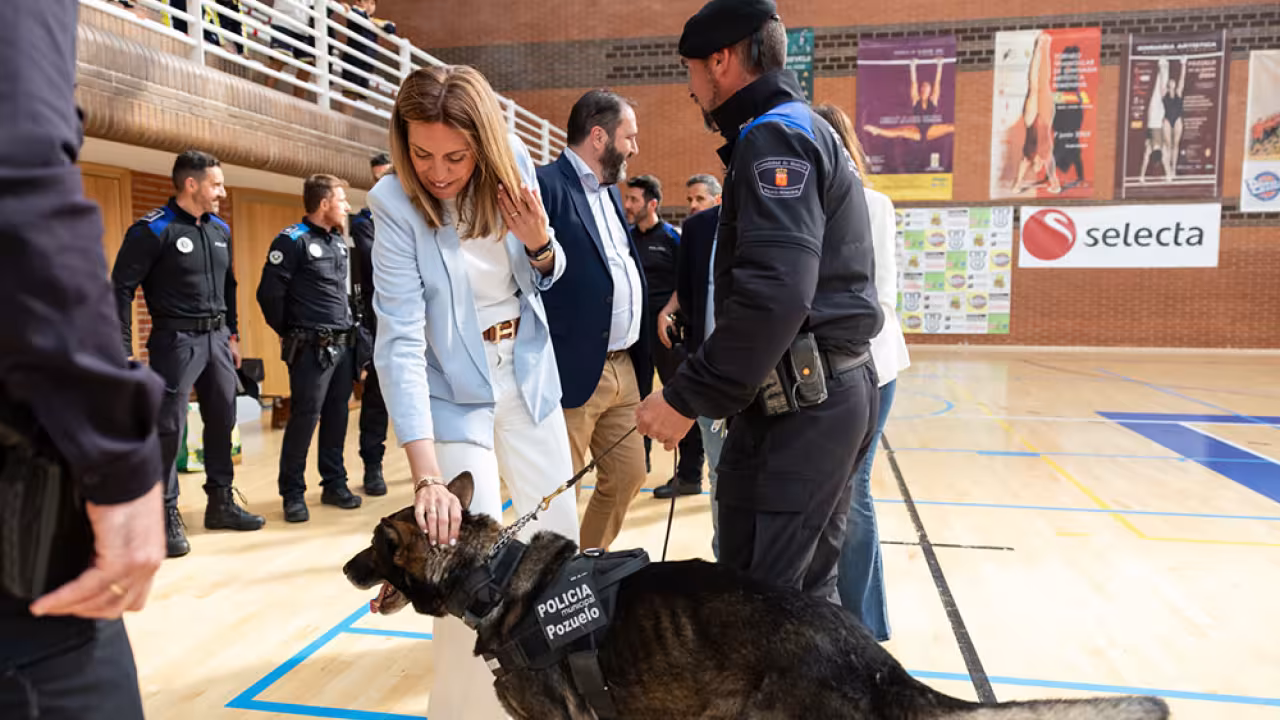 Exhibición unidades caninas municipales