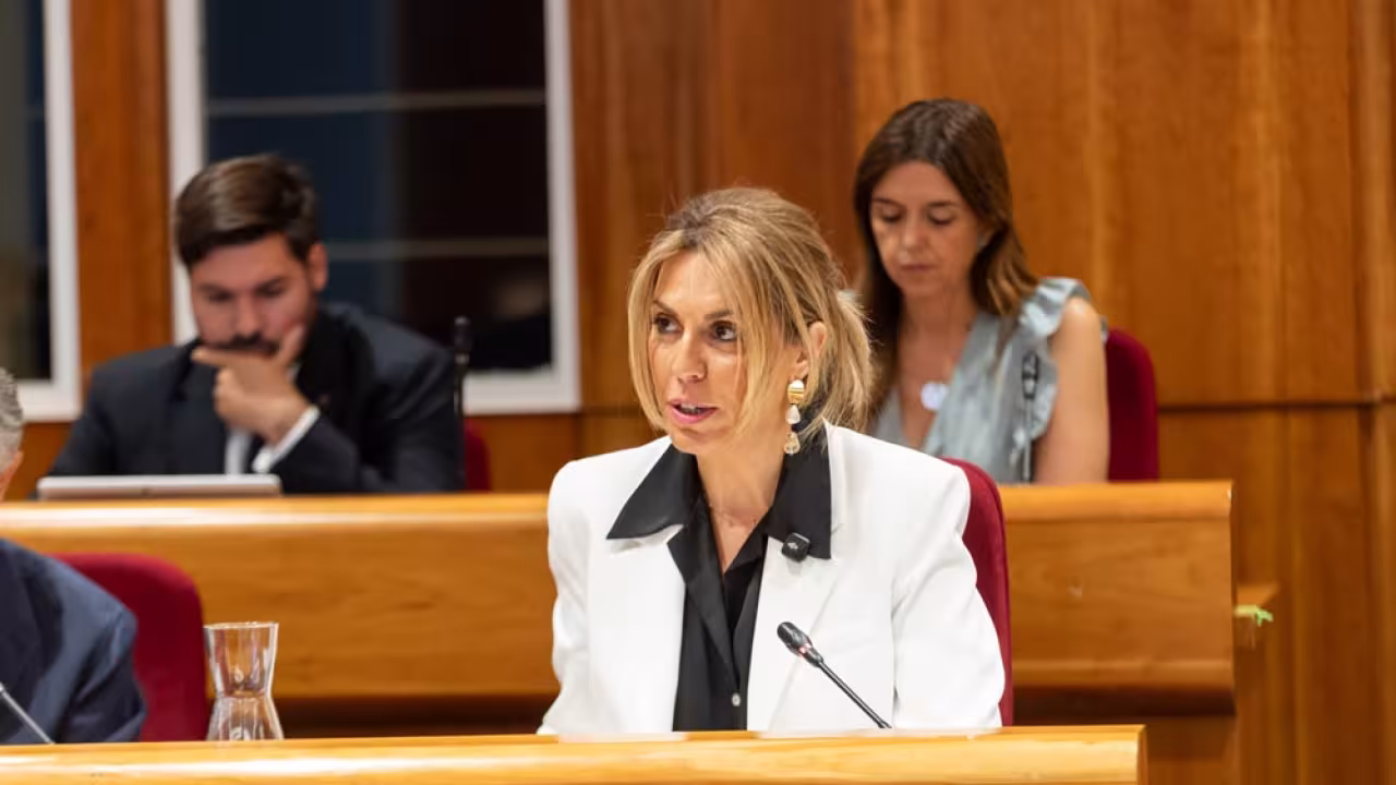 Debate de estado
