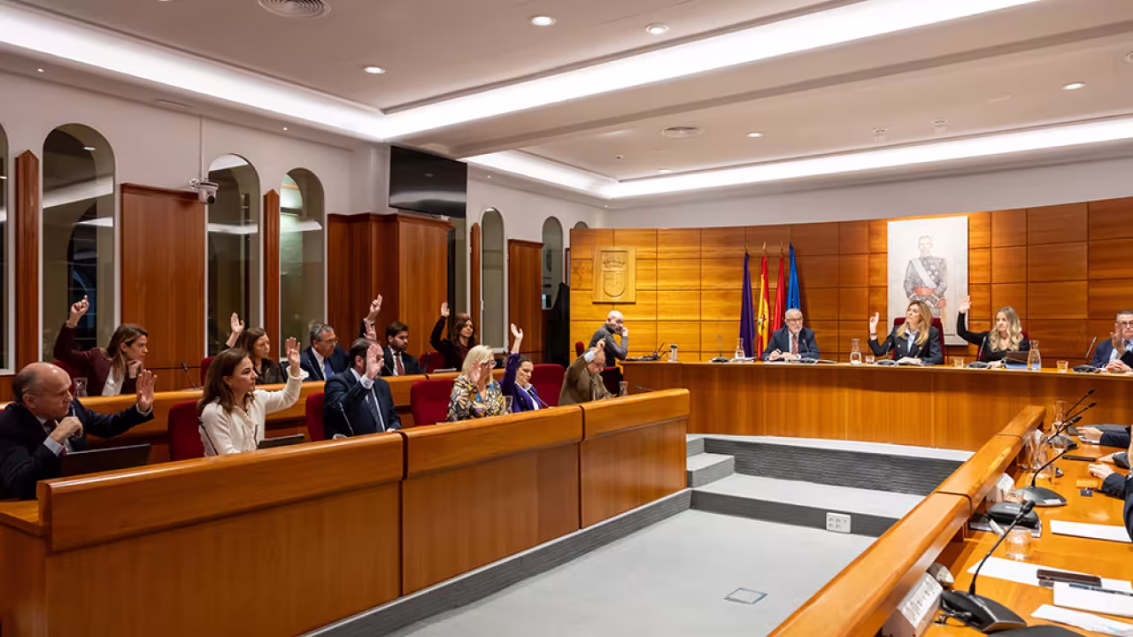 Pleno Pozuelo