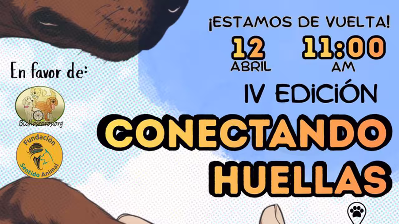 conectando con huellas cartel