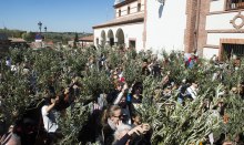 Procesión del Domingo de Ramos