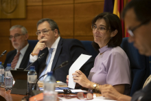 Sesión pleno de julio