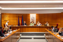 Pleno 