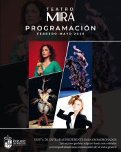 Programación MIRA