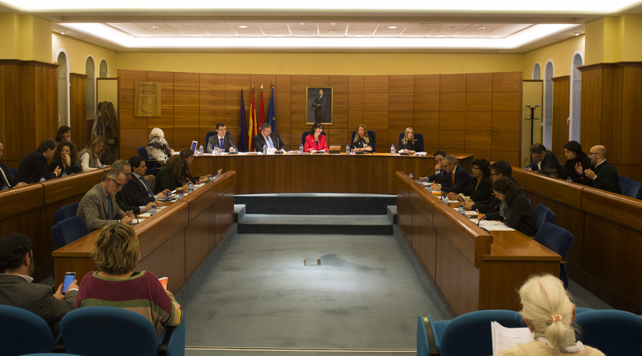 Imagen del pleno de diciembre