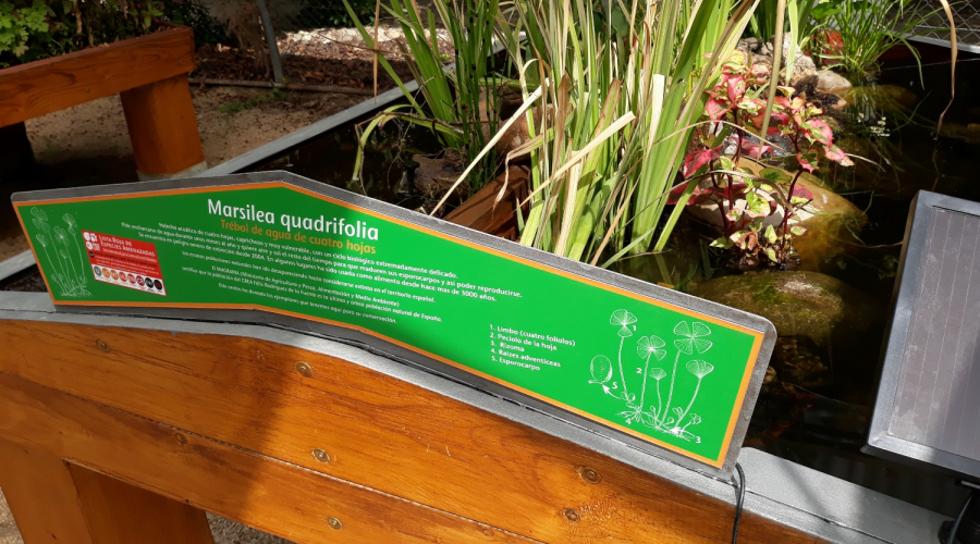 Hospital de plantas