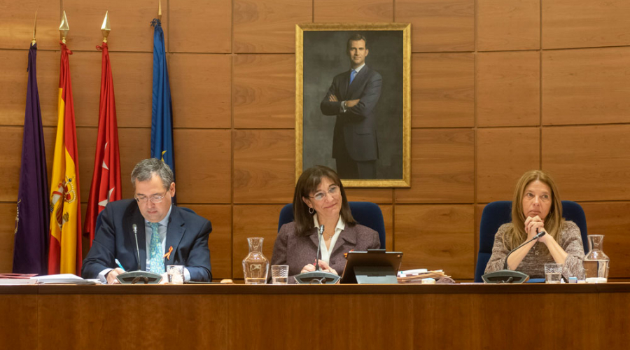 Sesión plenaria del mes de febrero de 2019