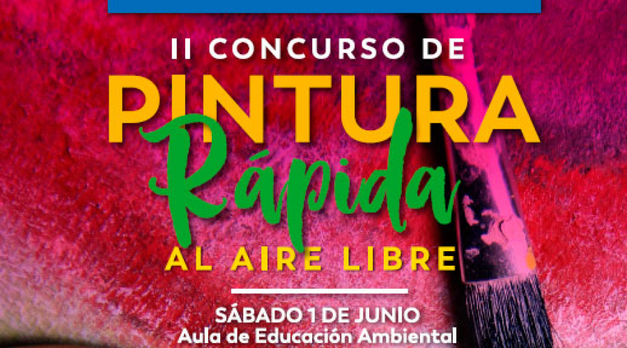 II Concurso de pintura rápida