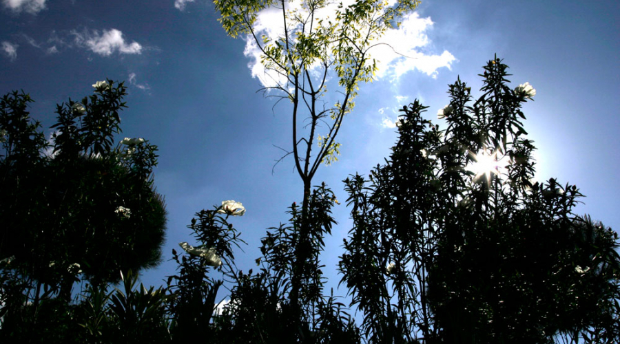 Cielo