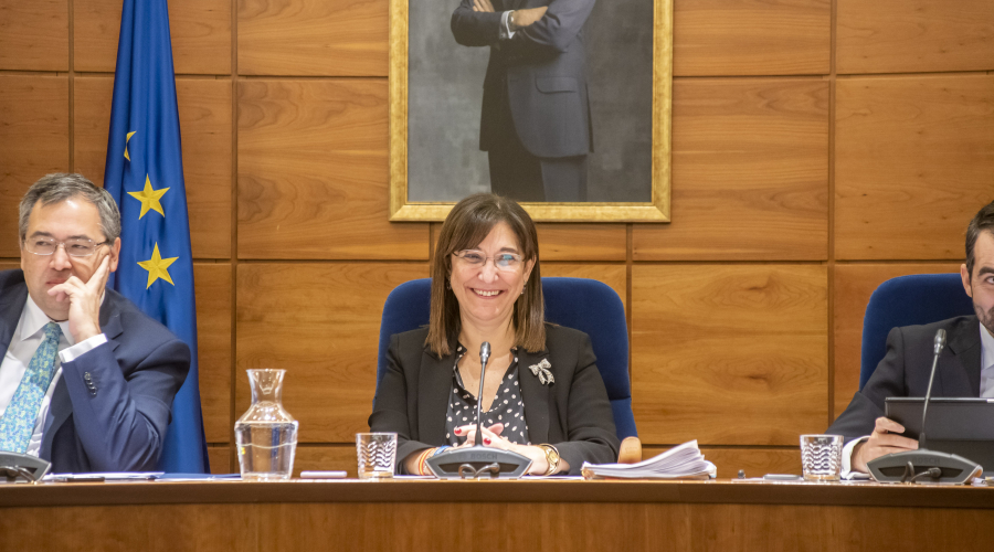 Sesión plenaria diciembre 2019