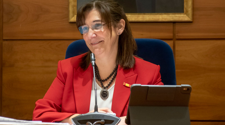 La alcaldesa de Pozuelo, Susana Pérez Quislant, durante la celebración del pleno del mes de enero