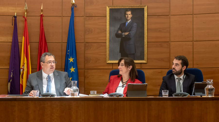 Pleno del mes de enero de Pozuelo