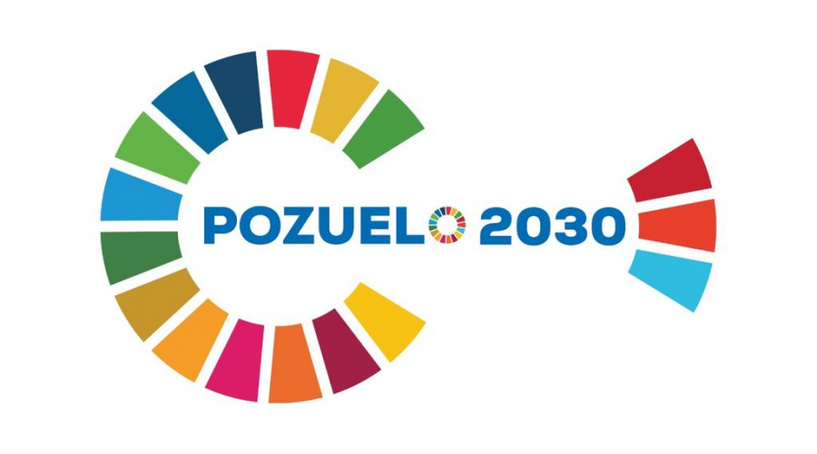 Logo Pozuelo 2030