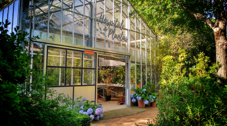 exterior del hospital de plantas