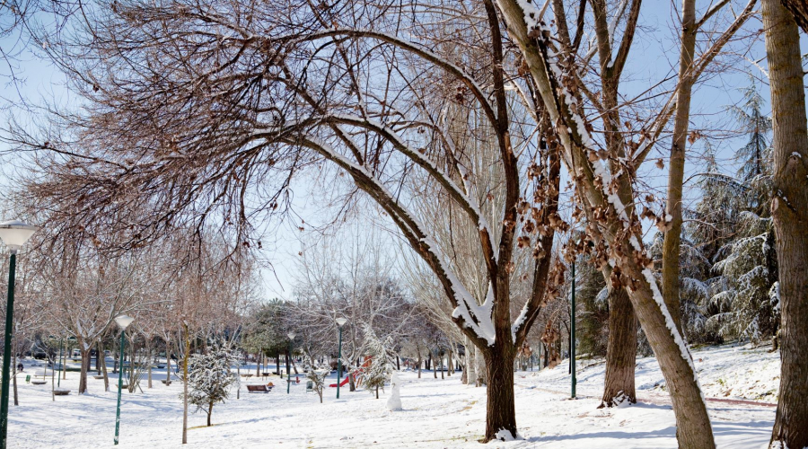 parque nevado