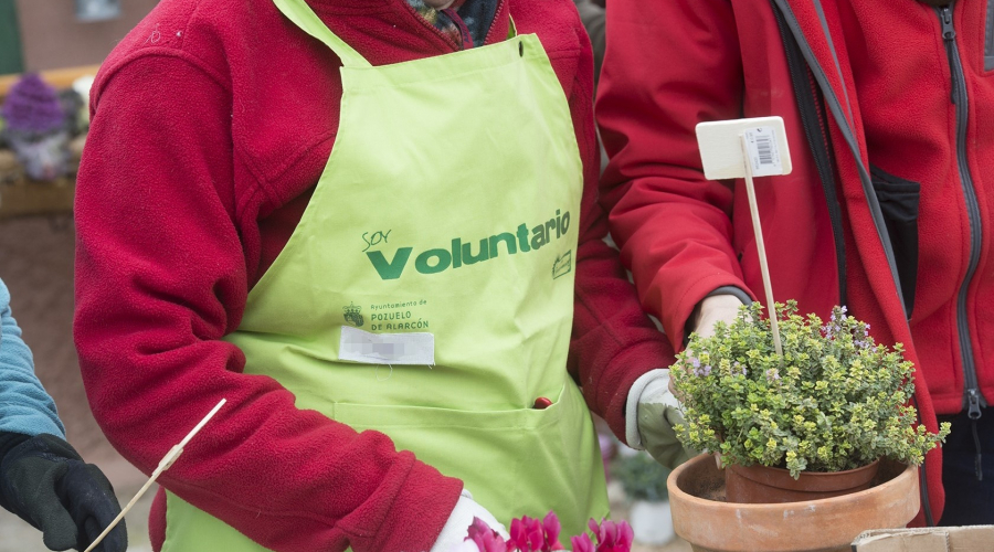 voluntario
