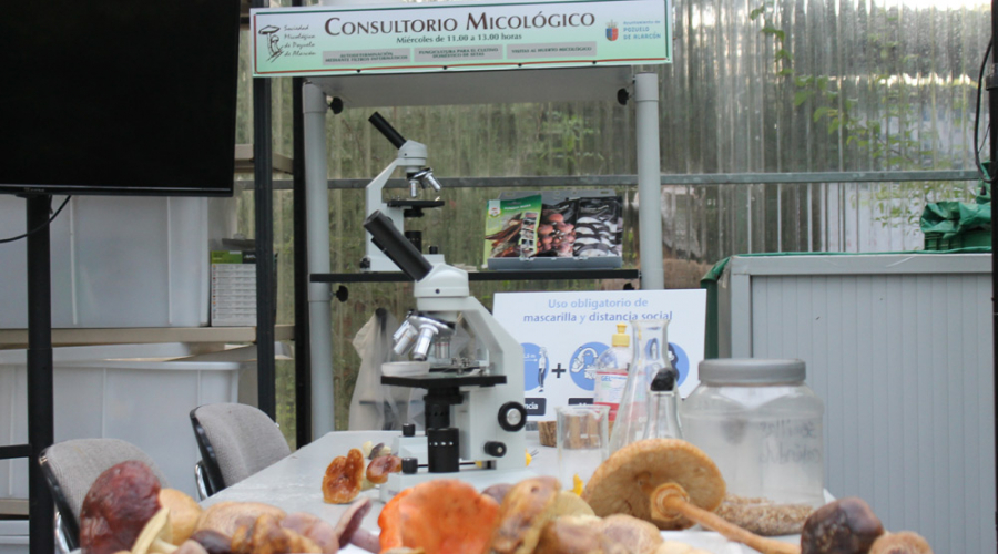 Consultorio Micologico