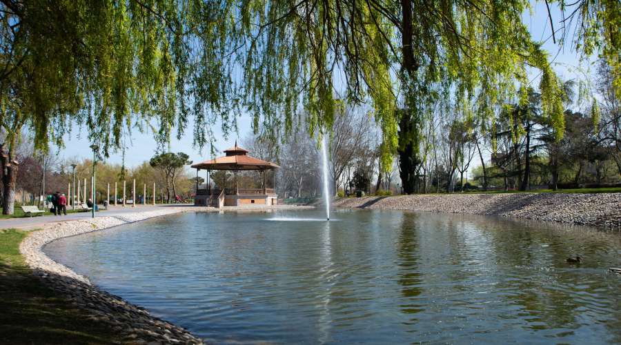Parque de Las Minas