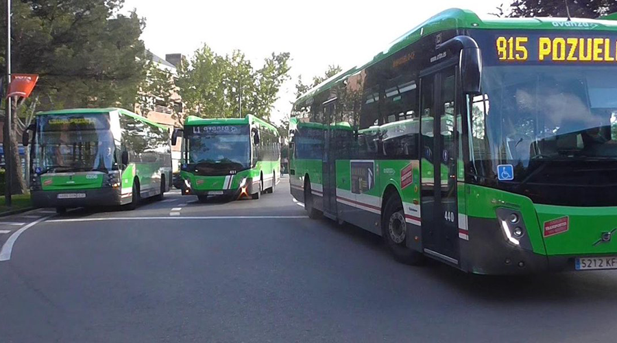 Autobús fiestas