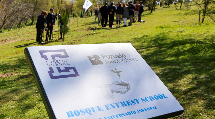 Plantación de árboles en un colegio de la ciudad