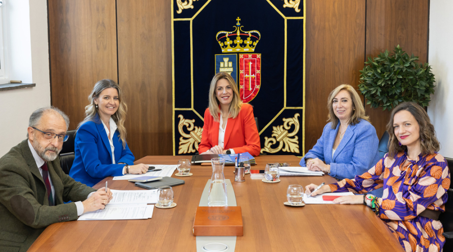 Junta de Gobierno Local Pozuelo