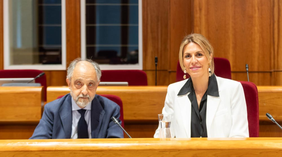 Debate de estado