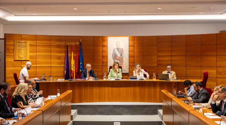 Pleno 