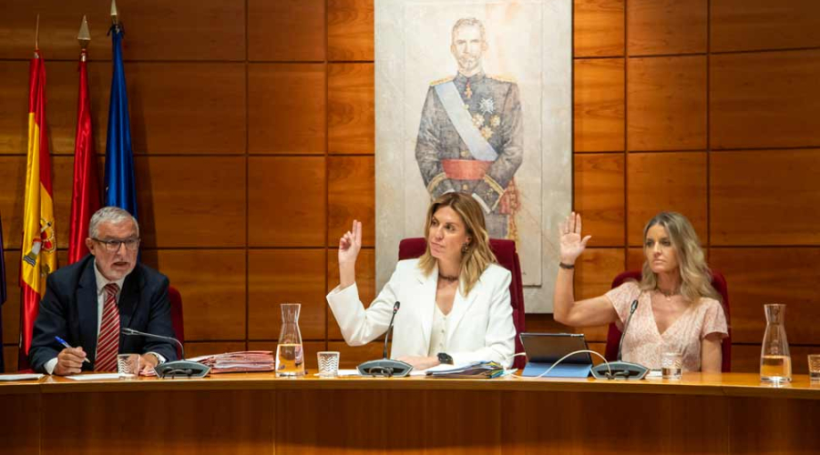 Pleno
