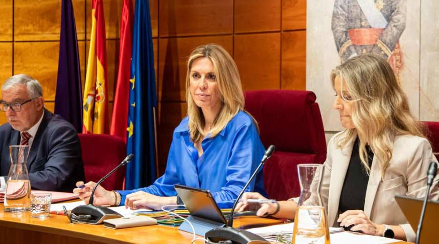 Alcaldesa pleno