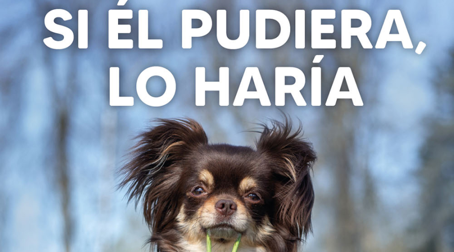 Si el pudiera lo haría