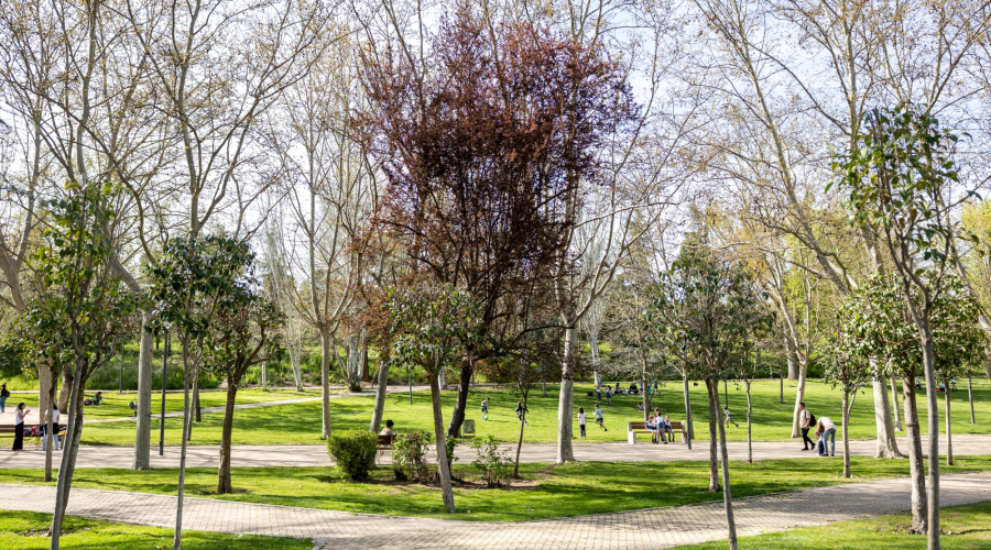 PArque de pozuelo
