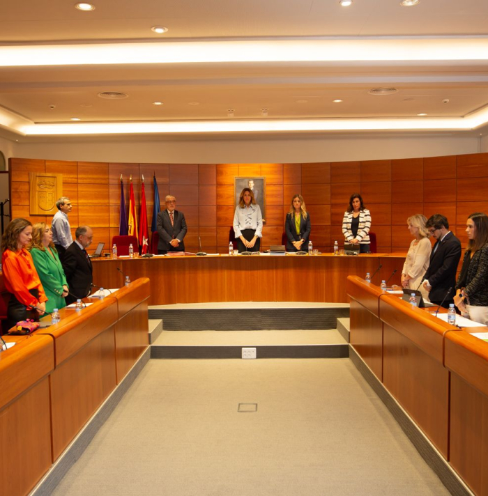 pleno pozuelo