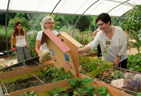Taller naturaleza