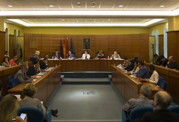 Pleno del Ayuntamiento de Pozuelo de Alarcón del mes de mayo de 2017