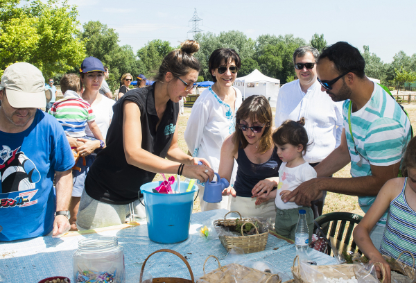 Actividades y talleres en el Día Mundial del Medio Ambiente
