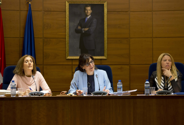 pleno de octubre