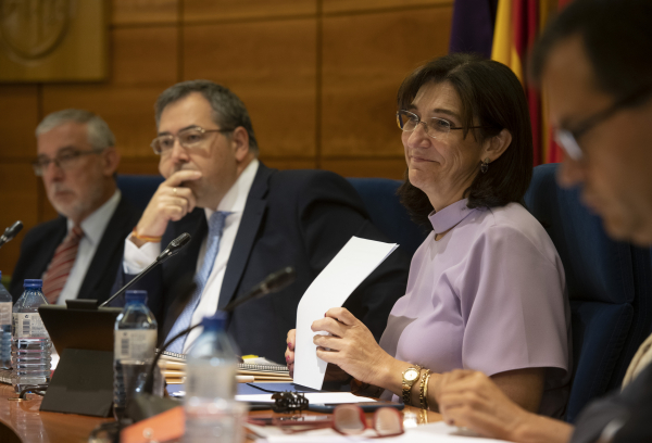 Sesión pleno de julio