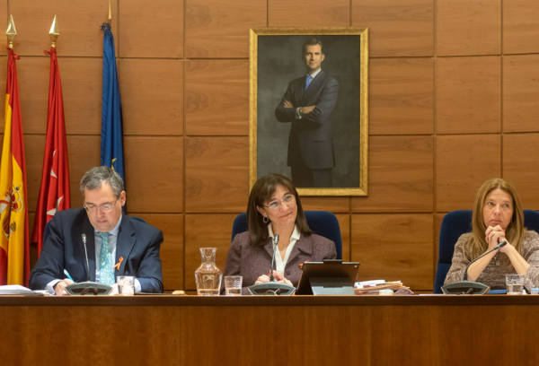 Sesión plenaria del mes de febrero de 2019