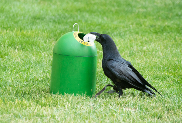 Reciclaje