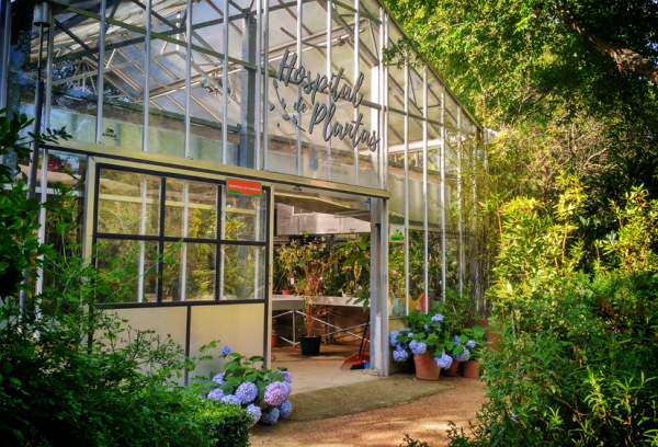 Hospital de plantas