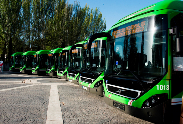 Autobús