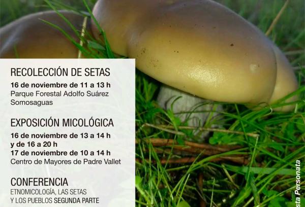 Cartel Jornadas Micológicas