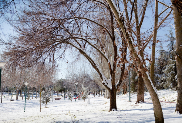 parque nevado