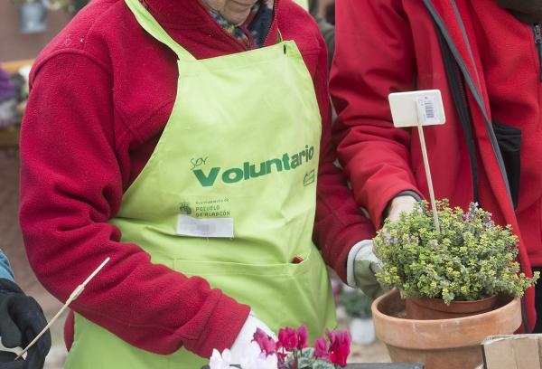 voluntario