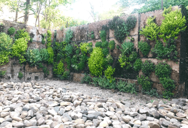 Jardines verticales