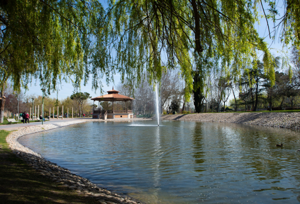 Parque de Las Minas