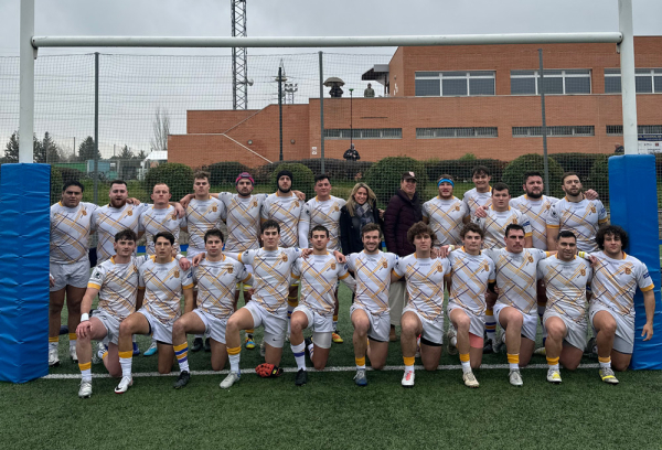 Partido rugby