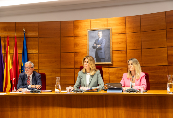 Sesión plenaria del mes de mayo de 2024