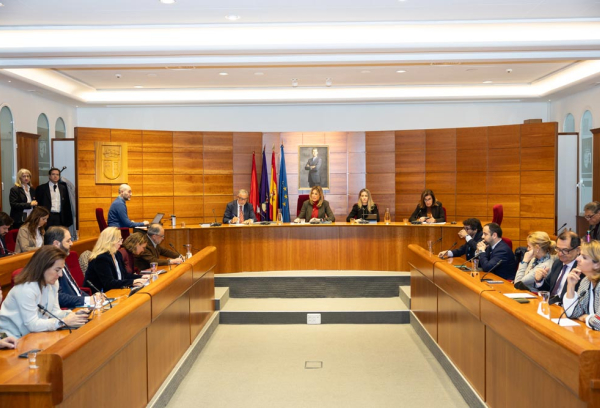 Pleno extraordinario presupuestos